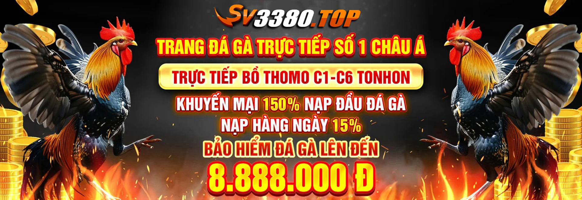 banner-sv3380-top